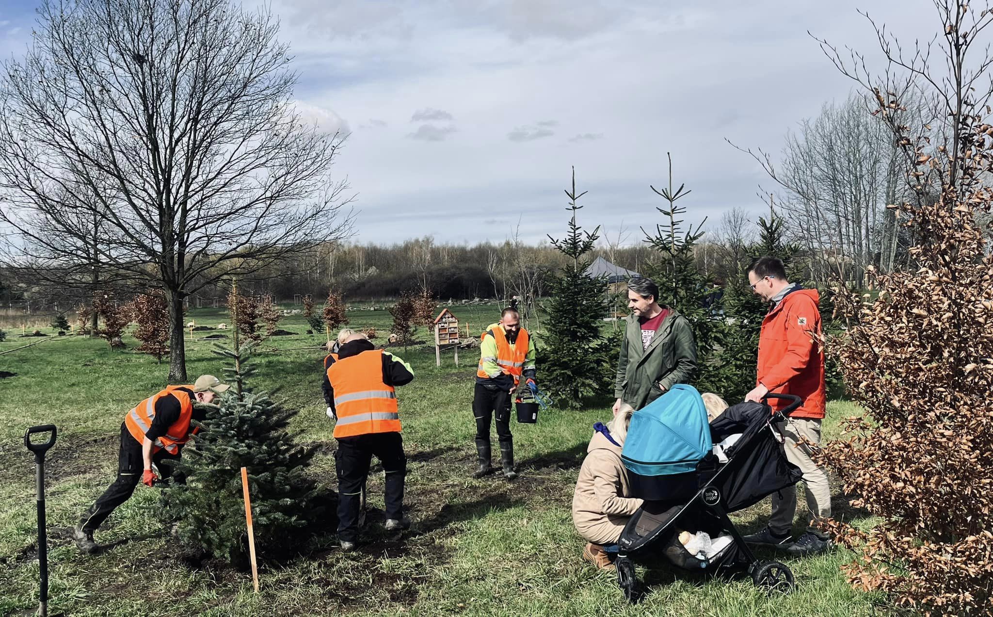 2023 04 15 Wrocław sadzenie drzew w parku Tysiąclecia 7